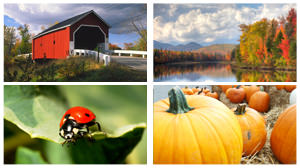 new-hampshire