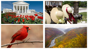 virginia