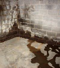 Water seeping through a concrete wall in a basement