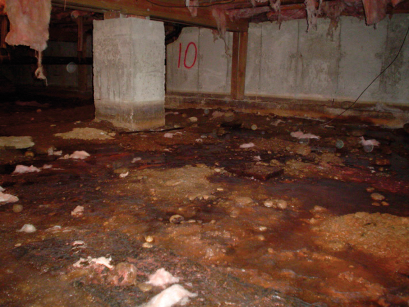 Why and How Would Air In a Crawlspace Impact Your Home?